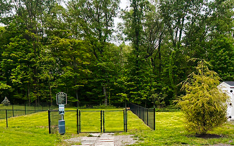 dog run